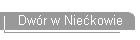 Dwr w Niekowie