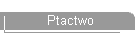 Ptactwo