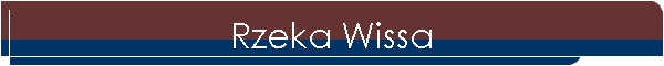 Rzeka Wissa