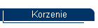 Korzenie