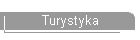 Turystyka