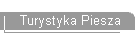 Turystyka Piesza