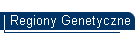 Regiony Genetyczne